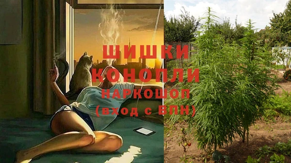 ешки Нея