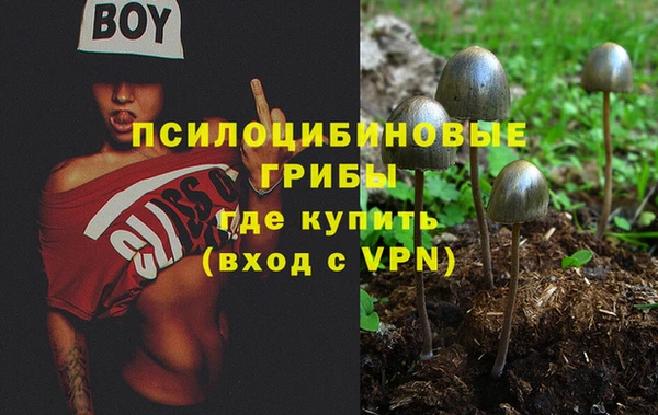 винт Алексин